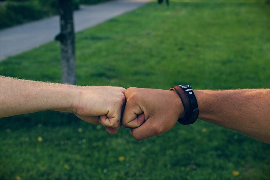 friendship, black, white, aims, goals, alliance, confederation, fists, green friendship, friendship, friendship, alliance, alliance, alliance, alliance, alliance